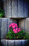 Stone Flowerbed Wall