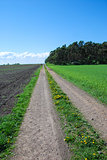 Farmers road at field