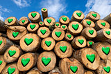 Wooden Logs with Green Hearts