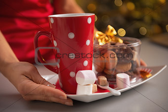Closeup on plate with christmas cookies and cup of hot chocolate
