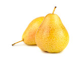 two yellow ripe pears