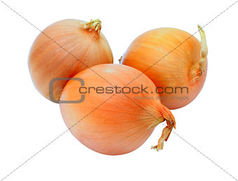 three golden onions, isolated on white background