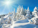 Sunshine under the winter mountain landscape
