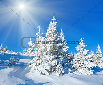 Morning winter mountain sunshine landscape 
