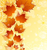 Autumn floral background with maple leaves