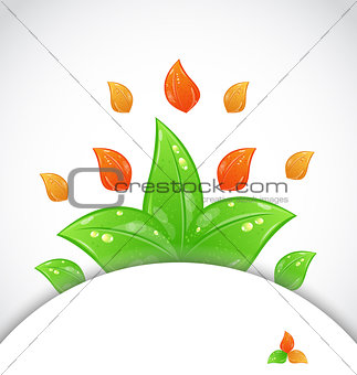 Autumn seasonal nature background with changing leaves