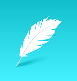 White feather isolated on blue background