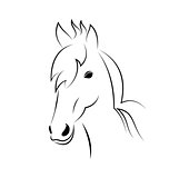 Symbol outline head horse isolated on white background