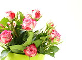 pink roses in   vase on a white background