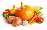 autumnal harvest fresh vegetables