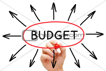 Budget Concept