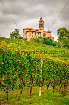 Scenic view of vineyards and old church in Piemont area, Italy