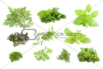Herbs collection