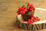 Organic sweet ripe red currant