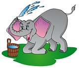 Elephant make shower