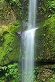 Elk Creek Falls, Oregon
