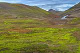 Lush green valley in Iceland