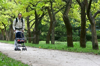 father with son in park