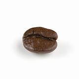 Coffe Bean