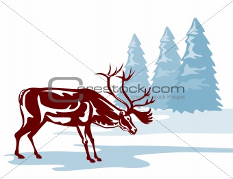 Reindeer in a winter scene