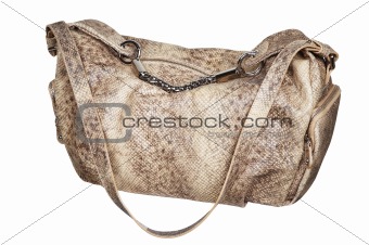 Fashionable female bag