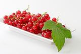 Red Currants with Leaf