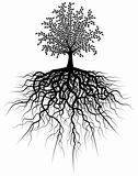 Root tree