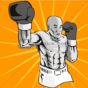Boxer  punching