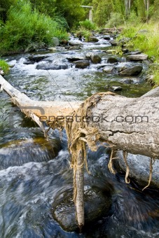 Tree trunk over the river