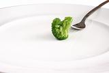 Piece of broccoli on white plate.