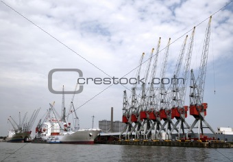 Cranes and carriers