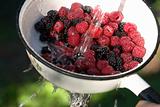 assorted berries 