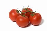 isolated tomato