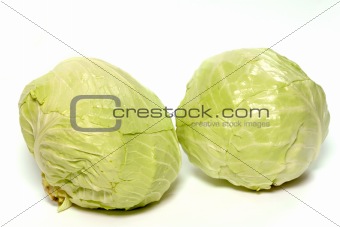 white cabbage