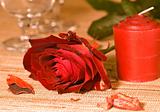 scarlet sweetheart rose and candle