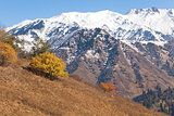 Autumn in Kazakhstan mountains Kok Zhailau