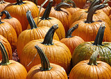 Pumpkins Close Up