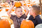 Two Boys at the Pumpkin Patch Talking and Having Fun 