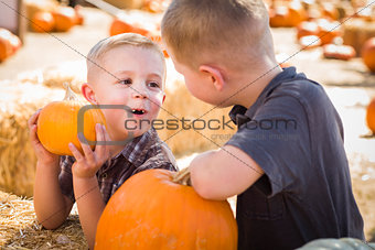 Two Boys at the Pumpkin Patch Talking and Having Fun 