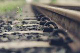 Railway and plant