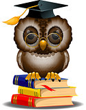 Wise owl on a stack of books