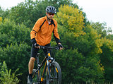 Cyclist Riding the Bike in the Beautiful Autumn Forest