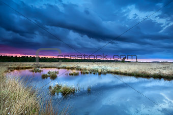 storm over swamp at sunset