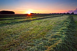 sunrise over green haymaking