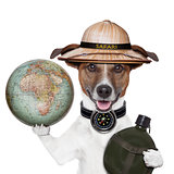 travel globe compass dog safari