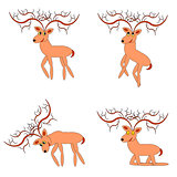 Funny deers on a white background