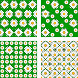 Design seamless flower pattern