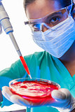 Asian Female Laboratory Scientist Using Pipette Blood Sample