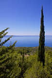 Dalmatian coast