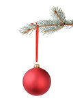 blue spruce twig with christmas ball